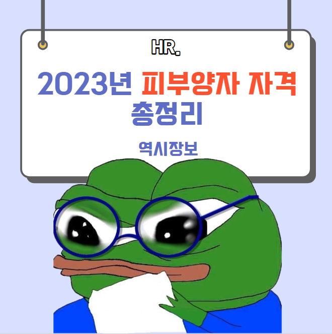  2023년 피부양자 자격 취득, 상실 요건 / 신고 방법 총정리