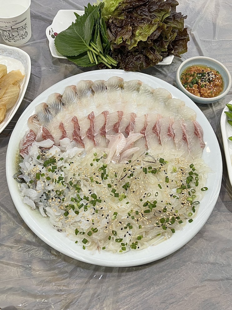  해운대대방어맛집 빨간산오징어 싱싱함이 남다른 해운대해수욕장횟집