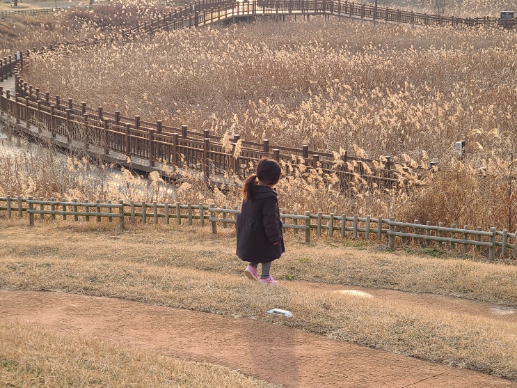  블로그 일상 잡썰 / 밀린 일상 이야기