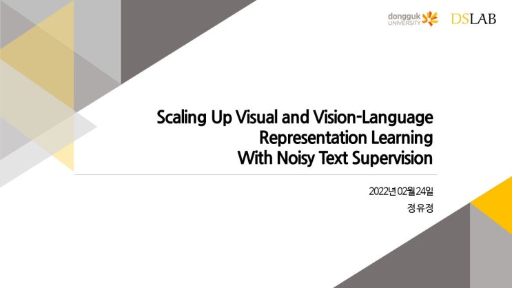 [학부연구생] 논문세미나 : Scaling Up Vision and Vision-Language Representation Learning