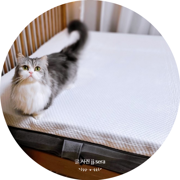  질 높은 수면을 위한 엠마 오리지널 매트리스 리뷰 (설치후기)