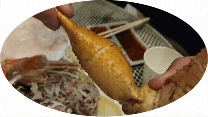  속초여행/ 아바이마을활어회센터 복용호횟집