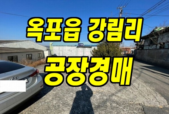 대구공장경매 달성군 옥포읍 강림리 공장 창고 대구공장경매 달성군 옥포읍 강림리 공장 창고