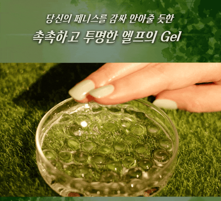 세이크리드