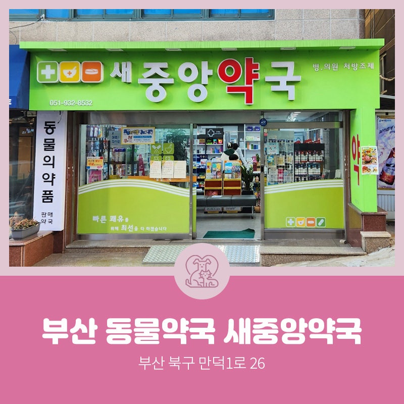 [부산동물약국] 고양이, 강아지 광범위 항생제 '액티클랍50' 판매약국, 복용방법 부작용 및 주의사항(feat 동물 항생제)