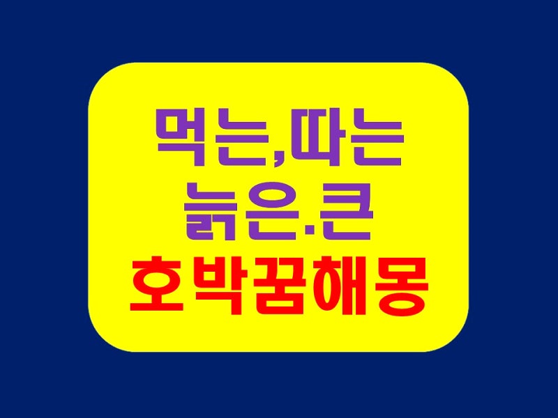 호박꿈 해몽 먹는 따는 보는 호박꿈 여러 행위에 따른 해석