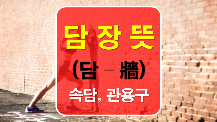  담장뜻 알아보고 속담, 장으로 끝나는 단어들