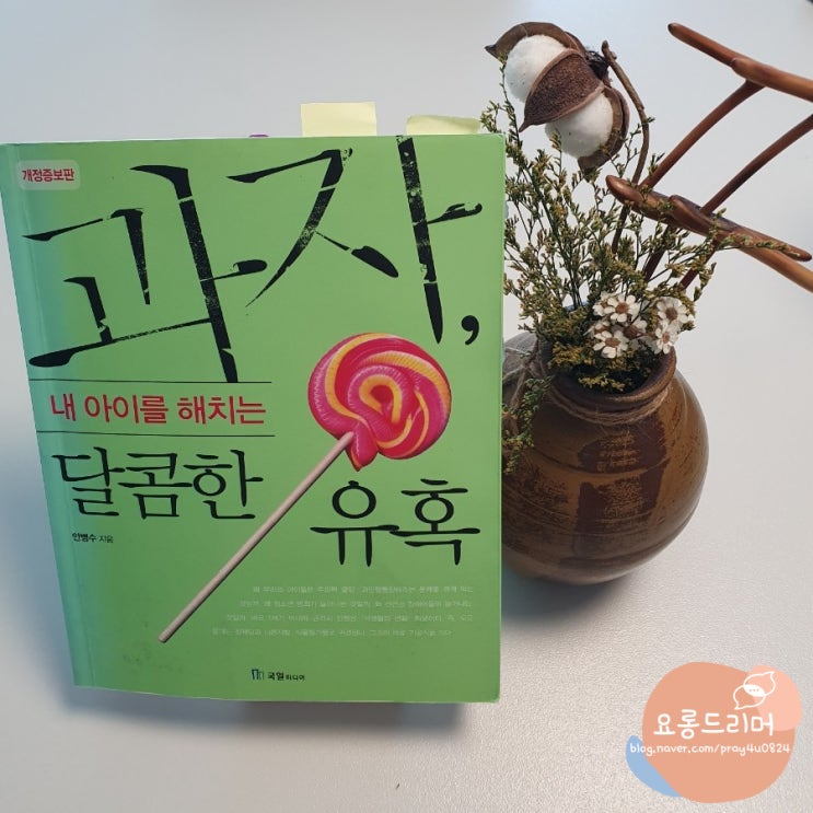  [2022-38] 과자, 내 아이를 해치는 달콤한 유혹/안병수