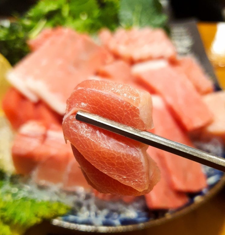  서면 참치 리뷰 : 대림참치 본점 - 서면 회식장소 딱인 곳