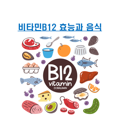 비타민 B12의 효능, 섭취 방법 및 비타민 B 결핍 증상에 대한 해결책을 찾아보세요