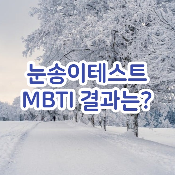  크리스마스 눈송이 테스트 MBTI 결과는?
