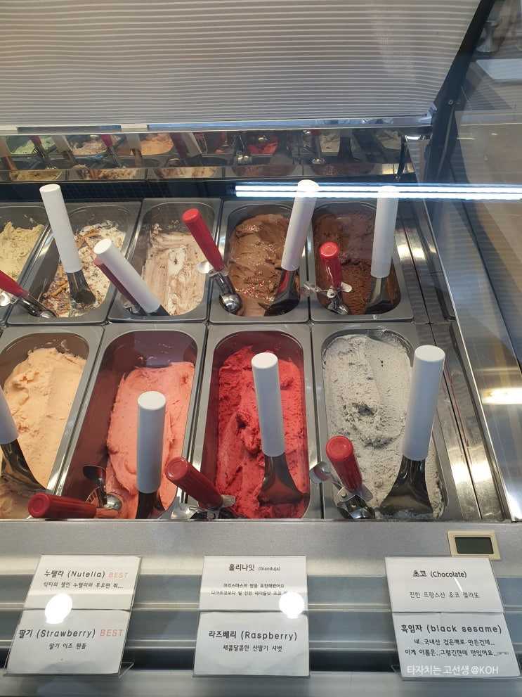 안동 디저트 맛집 수제 젤라또 아이스크림 전문점 아차가(ACHAGA)