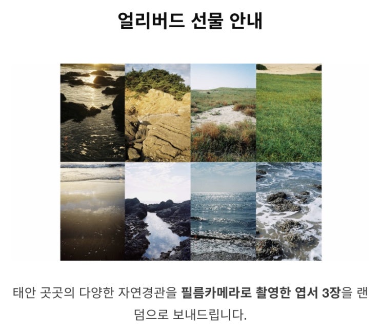 홈파티필수템 쉬폰패브릭포스터, 문진 텀블벅에서 사면 좋은점!