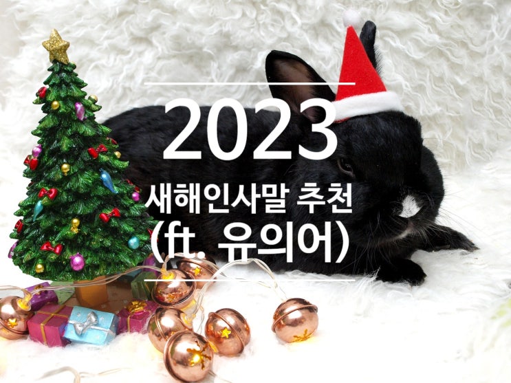  2023년 새해인사말 추천(ft.유의어)