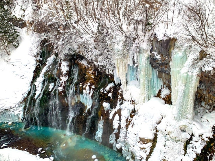 겨울 일본 삿포로 여행 홋카이도 일정 1월 2월 가볼만한곳 (아사히야마 동물원 흰수염 폭포)