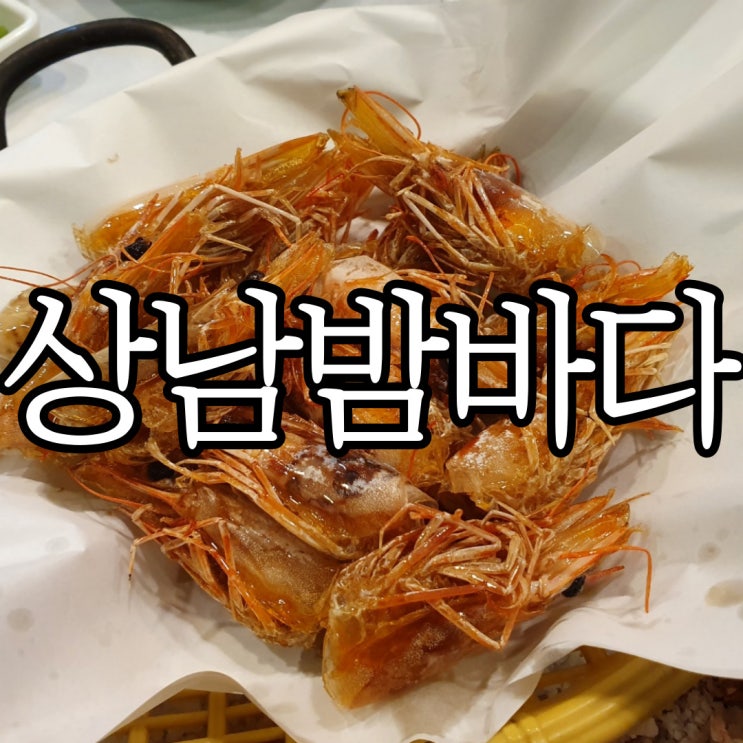  창원 상남동 회식장소 추천 회도 새우구이도 먹을 수 있는 상남밤바다