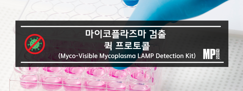마이코플라즈마 검출 : Myco-Visible Mycoplasma LAMP Detection Kit 퀵 프로토콜 : 네이버 블로그
