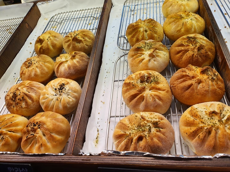  제주 서귀포 올레시장 먹거리 깡통화덕 만두 먹어본 솔직한 내돈내산 후기