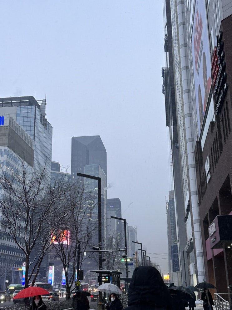  출근!