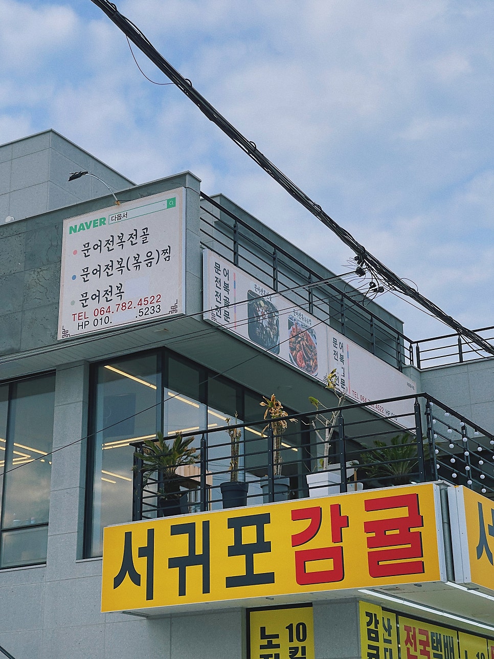 다옵서 사진 3