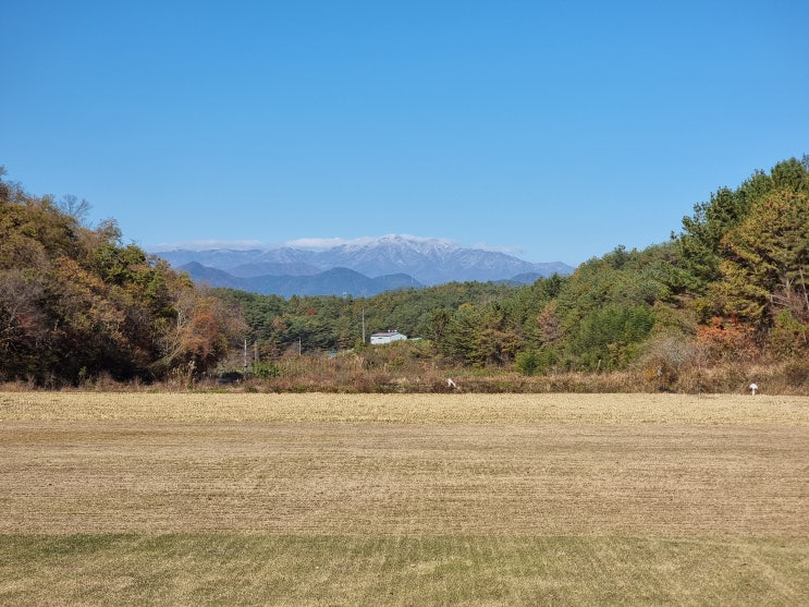  산소잔디 농장에서 바로 직배송 하고 있어요