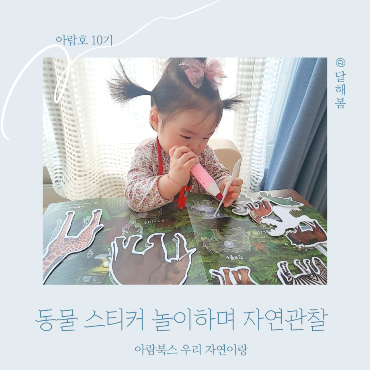  아기 선물 추천 부직포 동물 스티커 놀이하는 자연이랑 전집