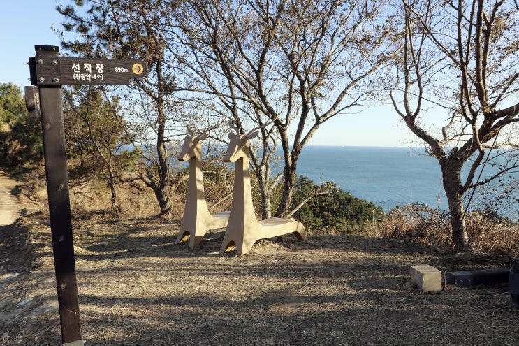  이수도민박 편하게 먹고노는 1박3식 여행 추천