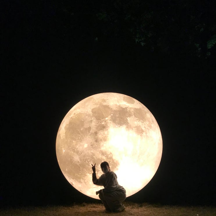  공주 공산성 미디어아트 백제연화에서 빛 축제 즐기기