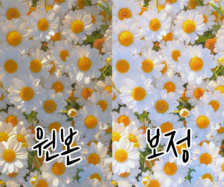  포토샵 보정 psd 공유 겨울 보정