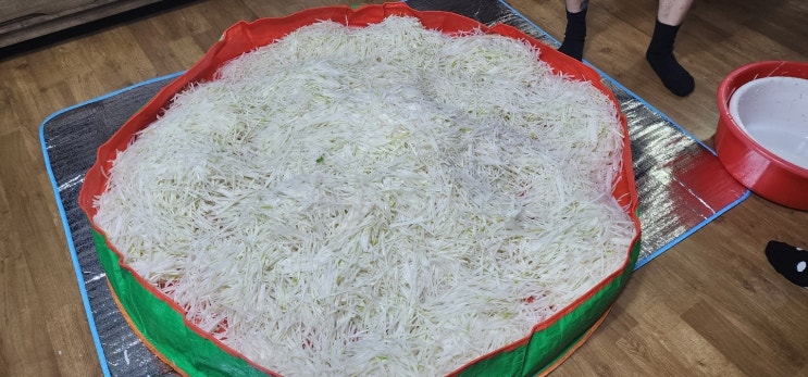 집에서 김장매트깔고 재료 팍팍 비벼 김장한 썰