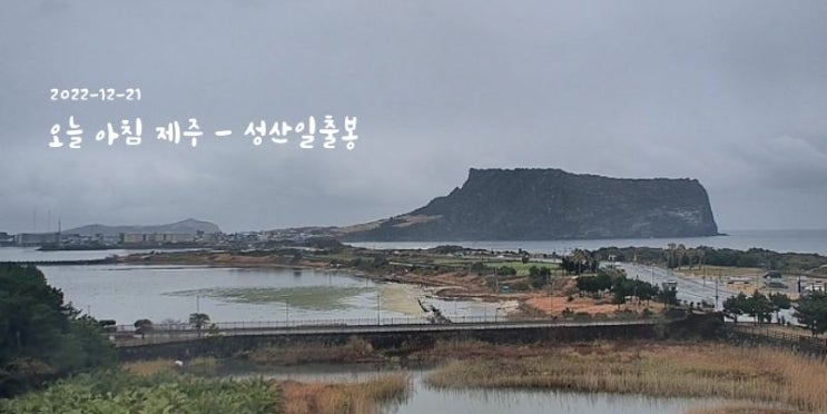  하루명언 - 목적 없는 공부는 기억에 해가 될 뿐이며, 머리 속에 들어온...