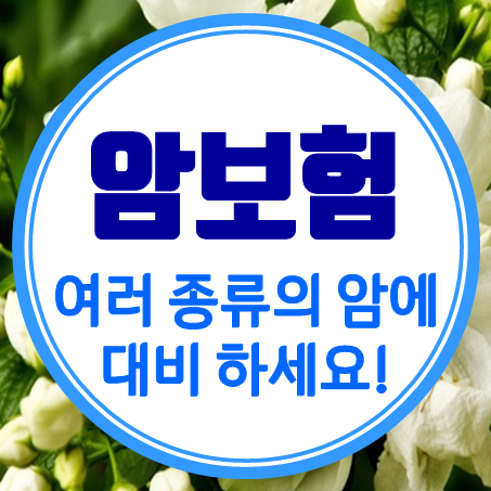  부모님암보험 발병 가능한 각종 암에 관한 대비