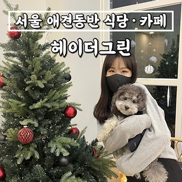 서울/경기도 애견동반식당 헤이더그린 • 크리스마스트리가 있는 카페추천