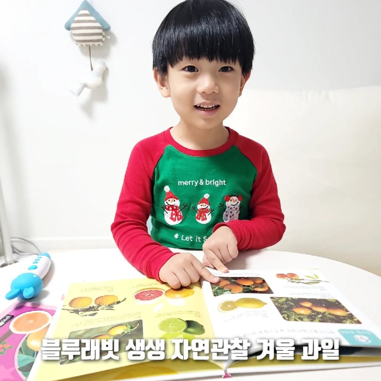  겨울 과일 공부해보기! 블루래빗 생생 자연관찰 향기나는 책