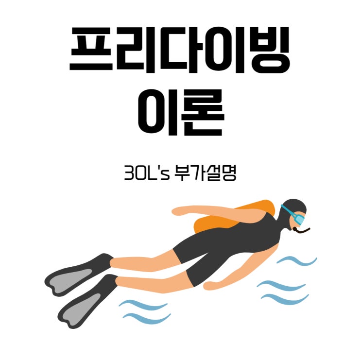  프리다이빙 PADI 프리다이버 과정 이론 정리와 부가설명