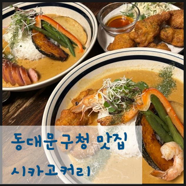 동대문구청 맛집 시카고커리