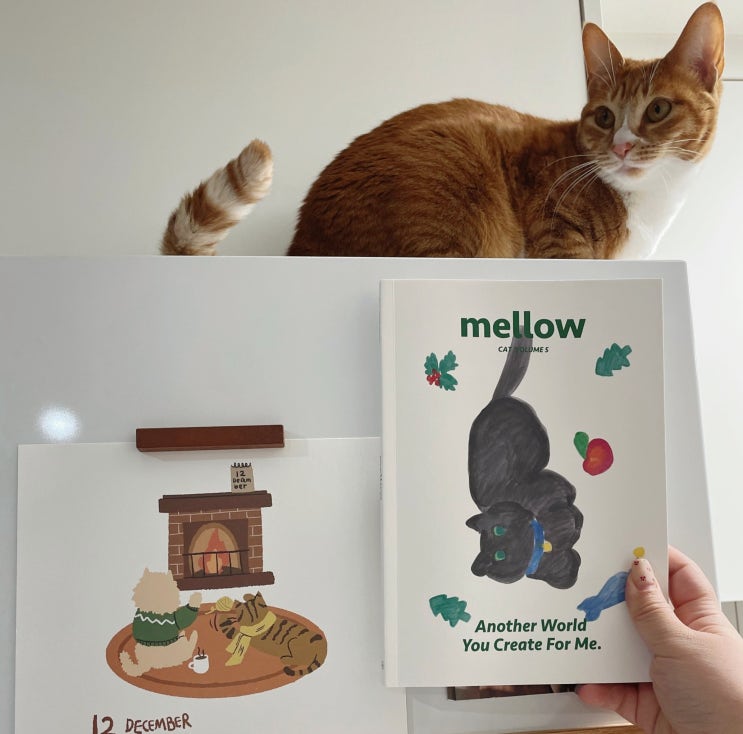 반려동물 매거진 mellow cat vol. 5 감성 고양이 잡지