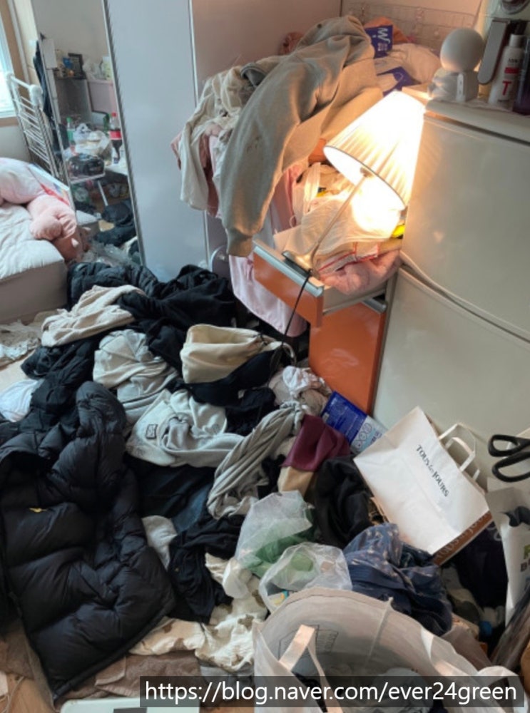  경기 시흥 정왕동 원룸 쓰레기집청소 고양이집청소