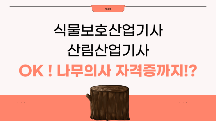 산림산업기사 식물보호산업기사 응시자격 갖추고 나무의사 자격증 시험 보기! 산림산업기사 식물보호산업기사 응시자격 갖추고 나무의사 자격증 시험 보기!