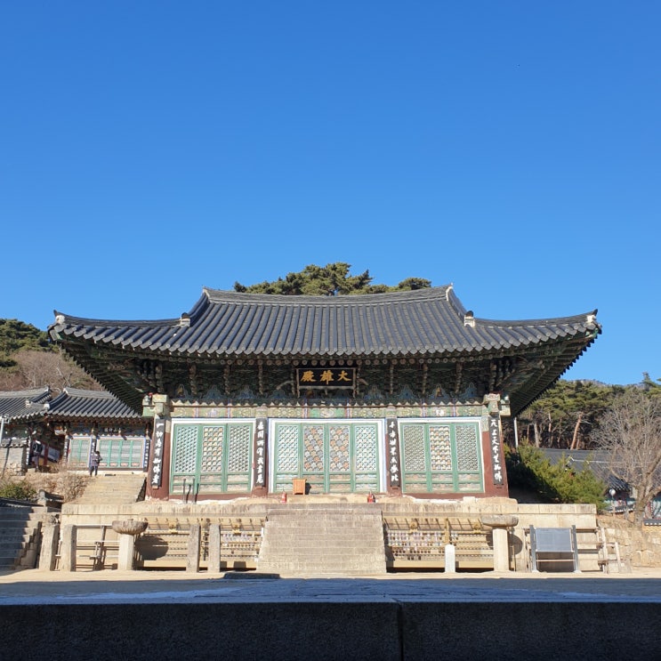  [나홀로여행:팔공산동화사] 대구 팔공산 동화사 방문해서 신년소원양초 미리 켜고 왔어요