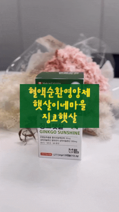  혈액순환영양제 햇살이네마을 징코햇살 생리통, 정맥순환 개선 추천