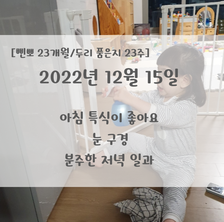  아침 특식이 좋아요/눈 구경/분주한 저녁일과