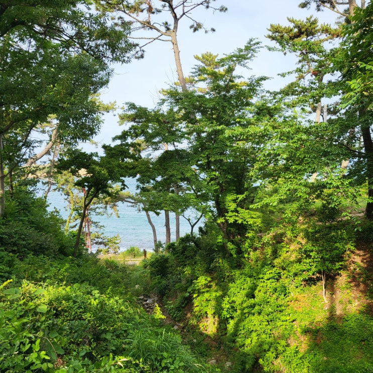  울산 대왕암공원이랑 그릿비 서생점 카페까지 가볼만한 곳 후기~