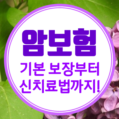  시니어암보험 기본적인 보장부터 신치료법까지 준비하세요!
