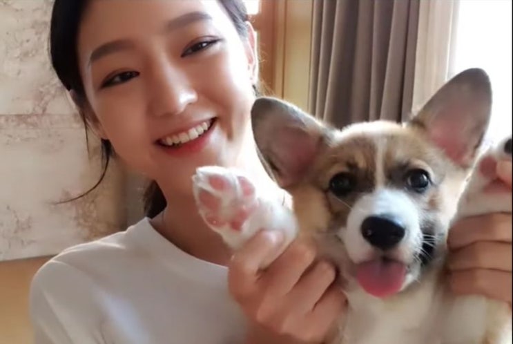 인기 여자 BJ 하알라(하선우), '가족 시트콤'으로 사랑 받더니 남자친구와 달달한 사진 공개 인기 여자 BJ 하알라(하선우), '가족 시트콤'으로 사랑 받더니 남자친구와 달달한 사진 공개