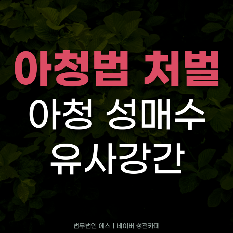 아청법처벌 성매수 및 유사강간 집행유예 선처