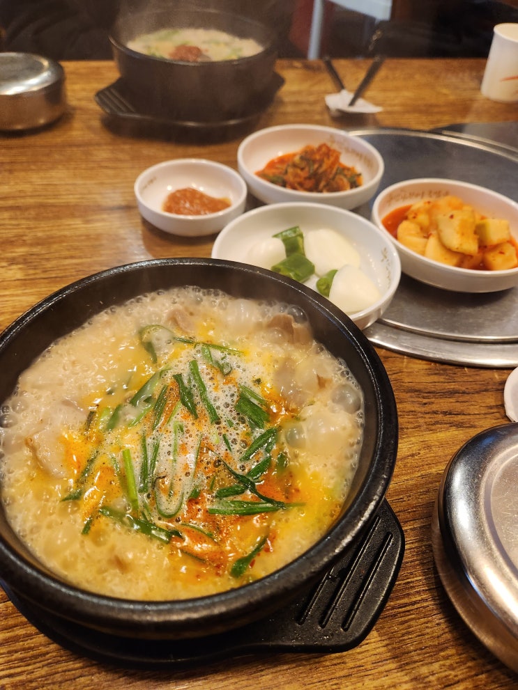신논현 국밥 맛집 24시 부산아지매국밥 내돈내산