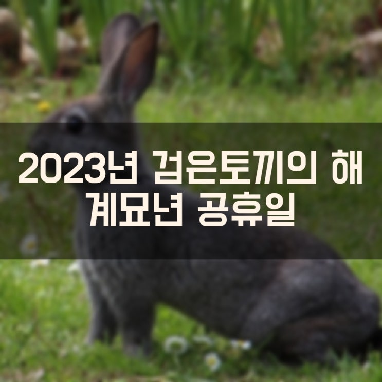 2023년 계묘년 검은 토끼의 해 공휴일 대체공휴일
