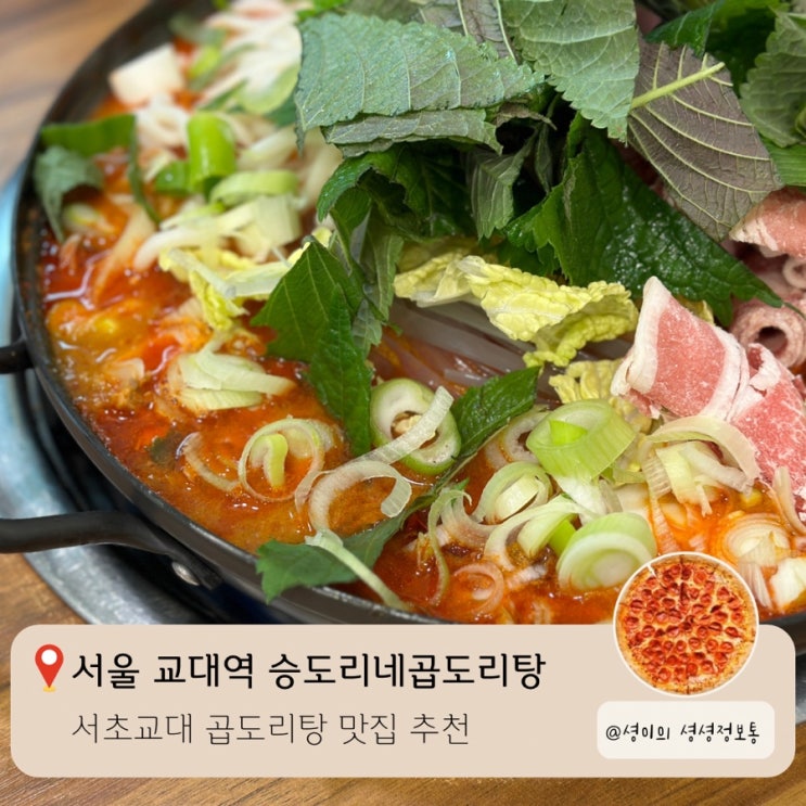  승도리네곱도리탕 서초교대점 교대역 곱도리탕 맛집 추천 연말 모임 장소 추천