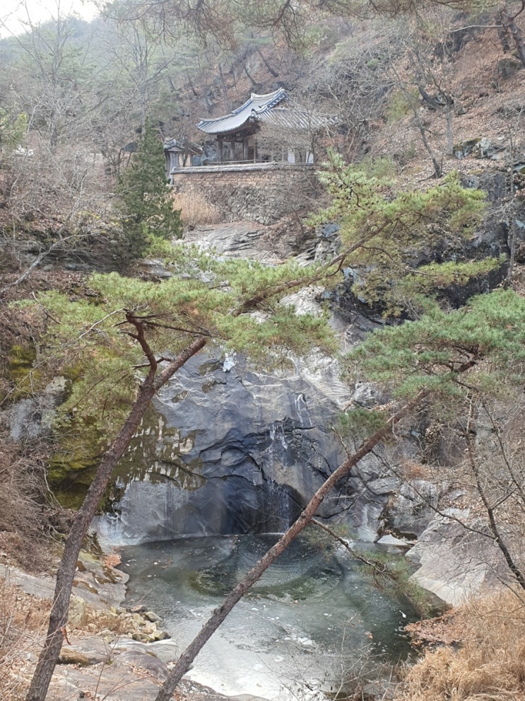 안동 만휴정 입장권무료 카페 만유정 여행코스 안동 만휴정 입장권무료 카페 만유정 여행코스